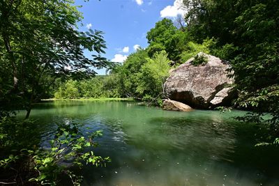 Archey Fork, Great Shot