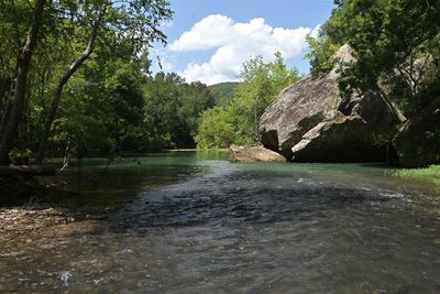 Archey Fork, Scenery