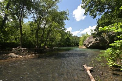 Archey Fork, Scenery