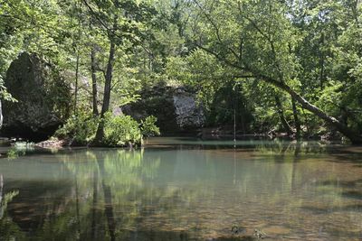 Archey Fork, Scenery, Zipline Area