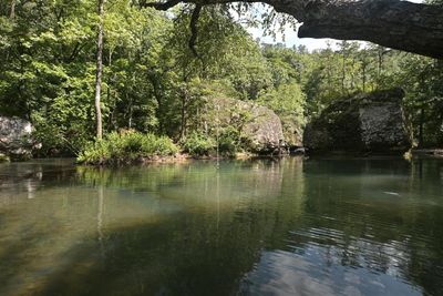 Zipline At Archey Fork