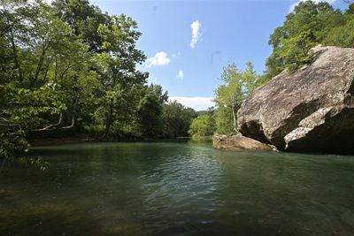 Scenery at Archey Fork