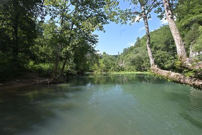 Scenery At Archey Fork