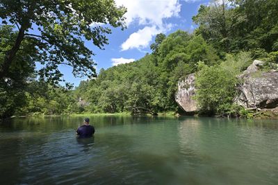 Scenery At Archey Fork