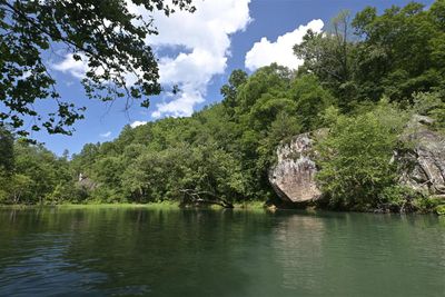Scenery At Archey Fork