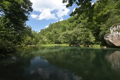 Scenery At Archey Fork