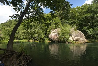 Scenery At Archey Fork