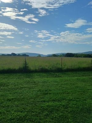 Morning Scenery at Cabin