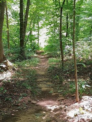 Path at Archey Fork