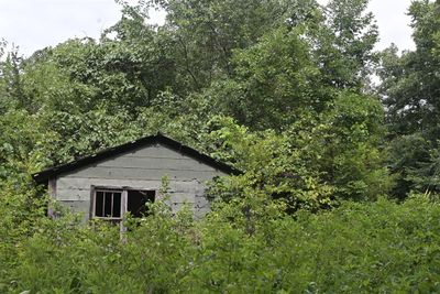 Barn Shot Down Searcy 57-Barren Hollow Rd