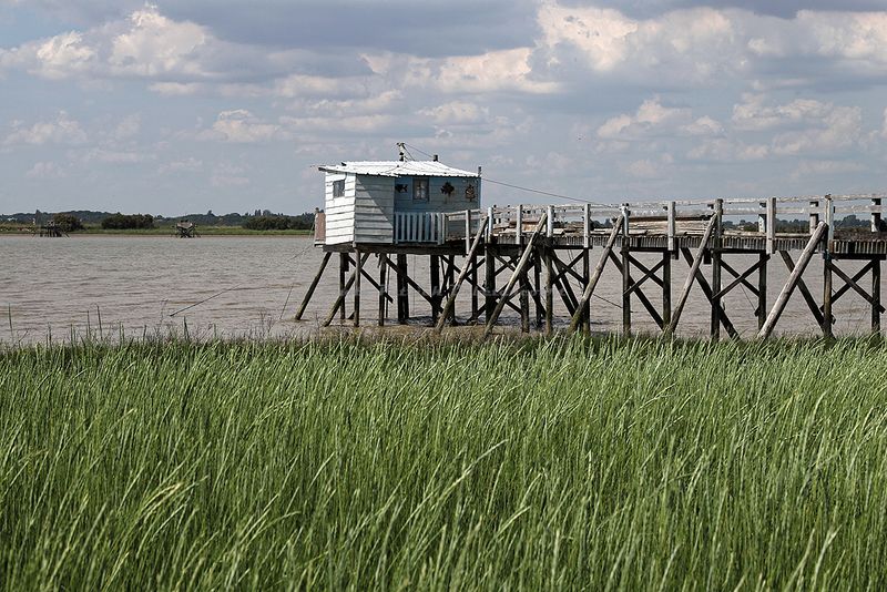 814 Vacances en Charente Maritime - Photos Canon IMG_8234_DxO Pbase.jpg