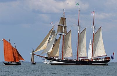 1041 Semaine du Golfe 2023 - IMG_9928 optimise Pbase.jpg
