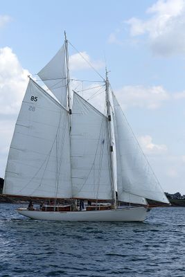 1061 Semaine du Golfe 2023 - IMG_9948 optimisePbase.jpg