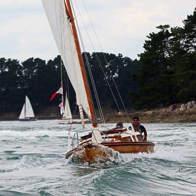 1555 Semaine du Golfe 2023 - IMG_0386 optimise Pbase.jpg