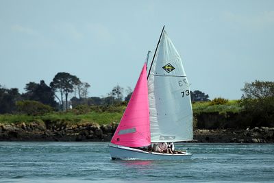 1987 Semaine du Golfe 2023 - IMG_1306 optimise Pbase.jpg