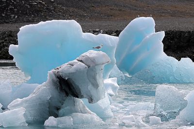 Discovering Iceland a spectacular island ! - Dcouverte de l'Islande, une terre rude mais pleine de merveilles !