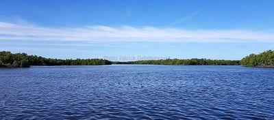 g13/09/515909/3/175624578.3f2a7078.JPEG