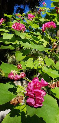 g13/09/515909/3/175624774.06e798a6.JPEG
