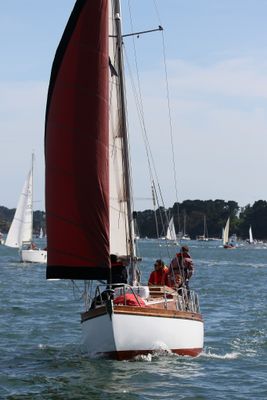 Semaine du Golfe 2025 - Photos prises  bord du HOOP, remorqueur de 1907, durant la grande parade de clture le samedi 31 mai