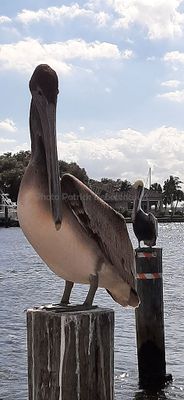 g13/09/515909/3/175628611.b5a6ef6b.JPEG