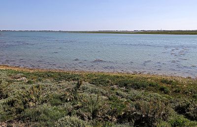 127 Vacances en Charente Maritime - Photos Canon IMG_7527_DxO Pbase.jpg