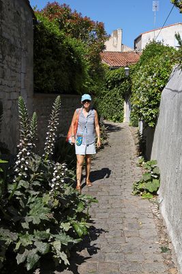 171 Vacances en Charente Maritime - Photos Canon IMG_7572_DxO Pbase.jpg