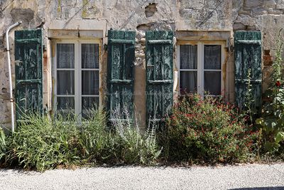 177 Vacances en Charente Maritime - Photos Canon IMG_7578_DxO Pbase.jpg
