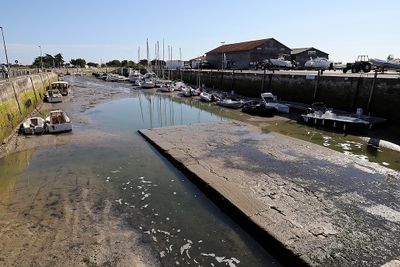 31 Vacances en Charente Maritime - Photos Canon IMG_7429_DxO Pbase.jpg