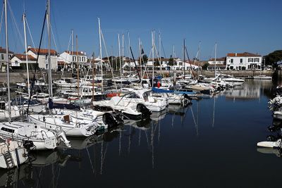 36 Vacances en Charente Maritime - Photos Canon IMG_7434_DxO Pbase.jpg