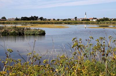 57 Vacances en Charente Maritime - Photos Canon IMG_7457_DxO Pbase.jpg