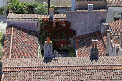 212 Vacances en Charente Maritime - Photos Canon IMG_7614_DxO Pbase.jpg