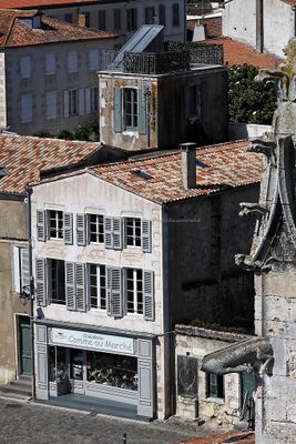 213 Vacances en Charente Maritime - Photos Canon IMG_7615_DxO Pbase.jpg