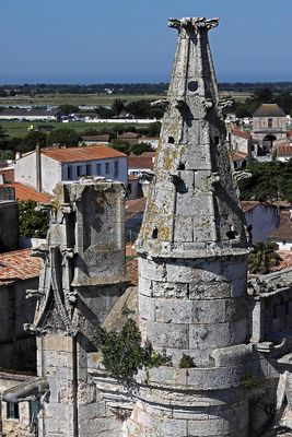 214 Vacances en Charente Maritime - Photos Canon IMG_7616_DxO Pbase.jpg