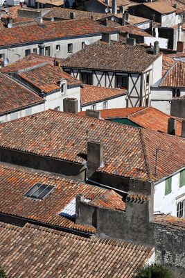 216 Vacances en Charente Maritime - Photos Canon IMG_7618_DxO Pbase.jpg