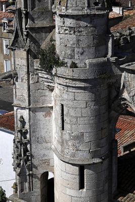 221 Vacances en Charente Maritime - Photos Canon IMG_7623_DxO Pbase.jpg