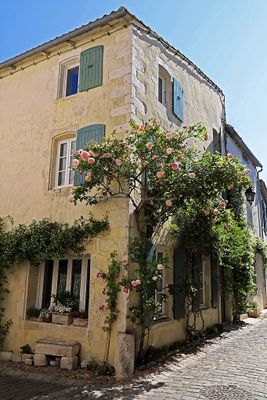 248 Vacances en Charente Maritime - Photos Canon IMG_7651_DxO Pbase.jpg
