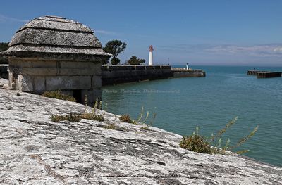 286 Vacances en Charente Maritime - Photos Canon IMG_7690_DxO Pbase.jpg