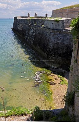 298 Vacances en Charente Maritime - Photos Canon IMG_7702_DxO Pbase.jpg