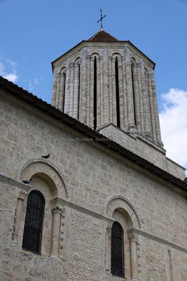 392 Vacances en Charente Maritime - Photos Canon IMG_7801_DxO Pbase.jpg