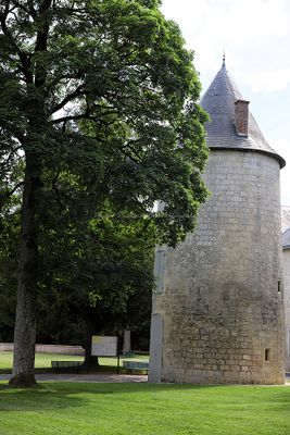 404 Vacances en Charente Maritime - Photos Canon IMG_7814_DxO Pbase.jpg
