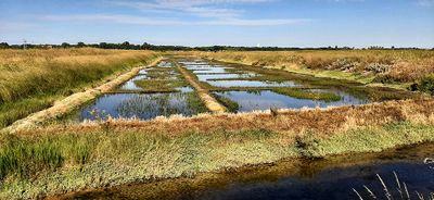 446 Vacances en Charente Maritime - 20210609_093901_DxO Pbase.jpg