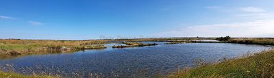 446 Vacances en Charente Maritime - 20210609_094550_DxO Pbase.jpg