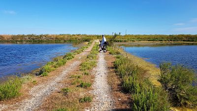 446 Vacances en Charente Maritime - 20210609_095415_DxO Pbase.jpg