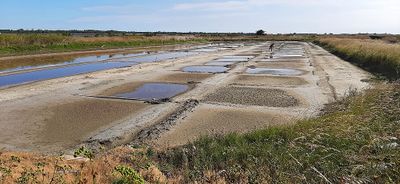 446 Vacances en Charente Maritime - 20210609_100204_DxO Pbase.jpg