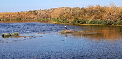 446 Vacances en Charente Maritime - Photos Canon IMG_7860_DxO Pbase.jpg