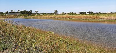458 Vacances en Charente Maritime - 20210609_115548_DxO Pbase.jpg