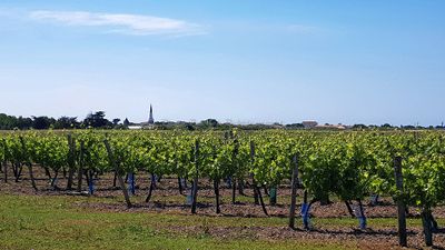 458 Vacances en Charente Maritime - 20210609_120337_DxO Pbase.jpg