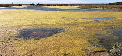 458 Vacances en Charente Maritime - 20210609_161727_DxO Pbase.jpg