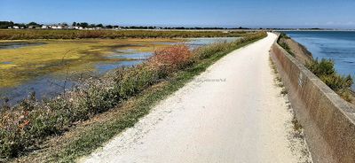 458 Vacances en Charente Maritime - 20210609_161738_DxO Pbase.jpg
