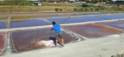 458 Vacances en Charente Maritime - 20210609_174804_DxO Pbase.jpg